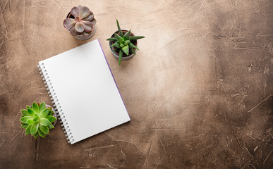 Notepad and succulents on the table. The Business Concept. Top view. Copy space.