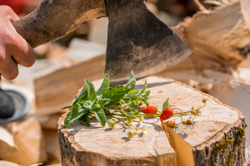flowers and strawberries on an old wooden log.