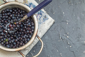 Blueberries in a metal bowl