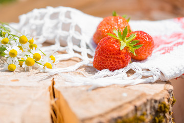 flowers and strawberries on an old wooden log.