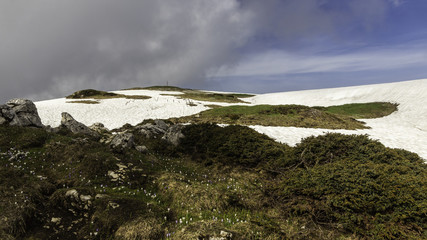 L'alpe - Massif de la Chartreuse - Isère.