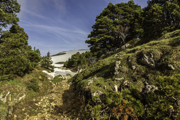 Fototapeta premium L'alpe - Massif de la Chartreuse - Isère.