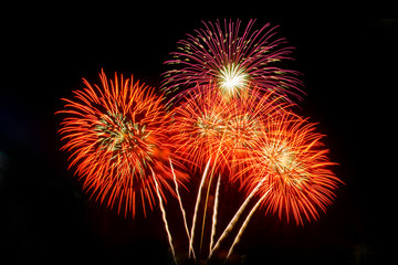 Fototapeta premium firework Abstract background,Fireworks light up the sky with dazzling display