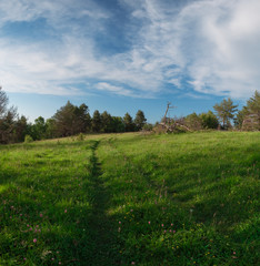 Fototapeta premium high-mountainous green meadow with an old fallen tree with a deep blue sky and thick white clouds