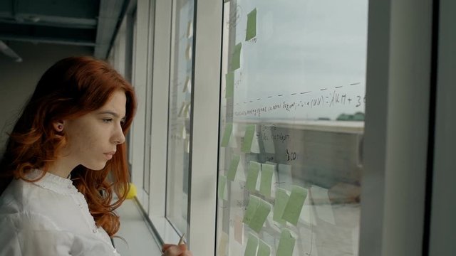 Attractive businesswoman working on business strategy on stickers on the office window. Portrait. Indoors.