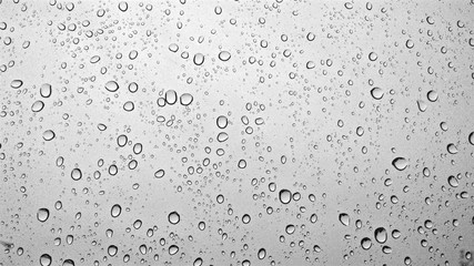 Dew drops on window glass