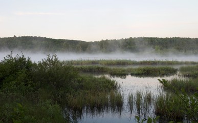 Morning fog at Algonquin Provincial Park, Ontario