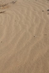 Wave pattern in desert sand dunes