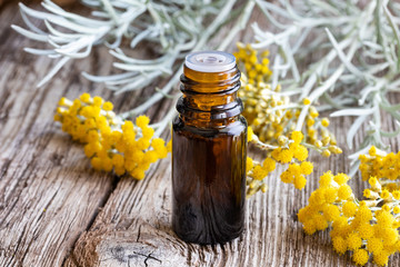 A bottle of helichrysum essential oil with fresh blooming helichrysum plant