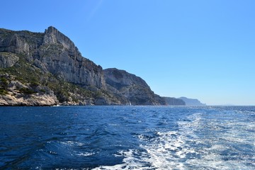 Fototapeta premium Cassis