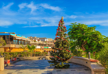 Christmas tree decoration on Fanabe beach in winter season, Tenerife island of Spain