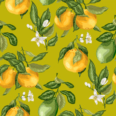 SEamless pattern summer citrus fruit branches of lime and orange tree with flowers in vector