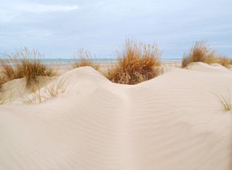 PAISAJE PLAYA EN SANLÚCAR DE BARRAMEDA, CÁDIZ, ANDALUCÍA, ESPAÑA 