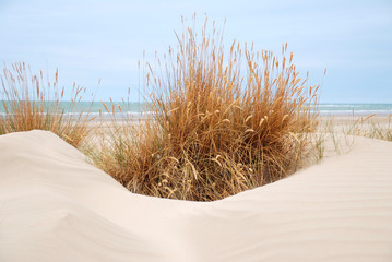 PAISAJE PLAYA EN SANLÚCAR DE BARRAMEDA, CÁDIZ, ANDALUCÍA, ESPAÑA 