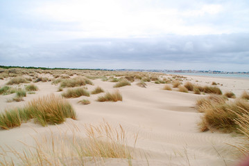 PAISAJE PLAYA EN SANLÚCAR DE BARRAMEDA, CÁDIZ, ANDALUCÍA, ESPAÑA 