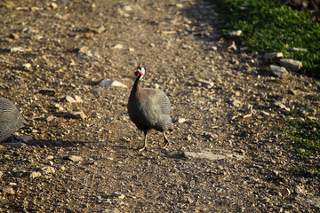 A small seaside town Turgutreis