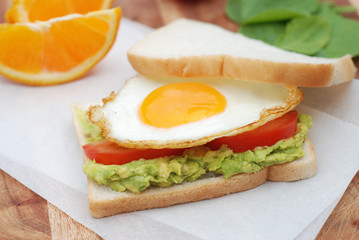 Sandwitch with avocado pasta and fried egg. Health Breakfast. Summer colorful food.