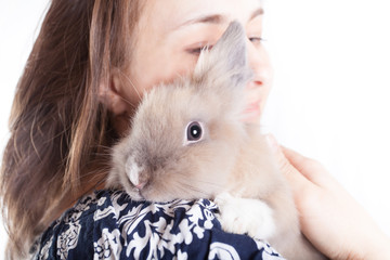 small, funny Dutch decorative rabbit sits on the shoulder of a loving and caring hostess