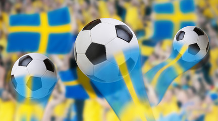sweden soccer fans public viewing