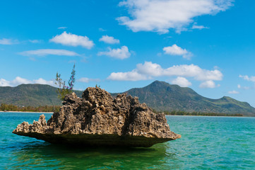 Île aux Benitiers - Mauritus