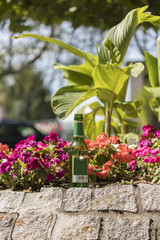 Bierflasche vor Blumenbeet abgestellt