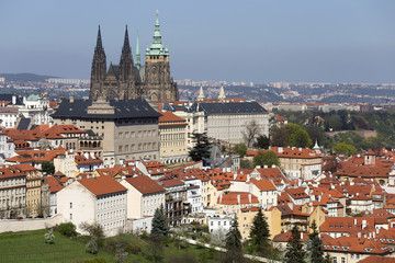 View on the spring Prague City with the green Nature and flowering Trees, Czech Republic