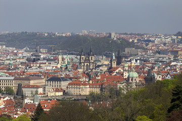 Obraz premium View on the spring Prague City with the green Nature and flowering Trees, Czech Republic