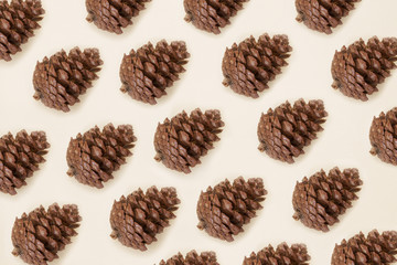 Pine cones