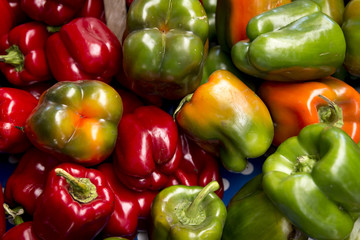 Pimentones verde y rojos 6527