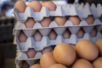 Carton de huevos 6555