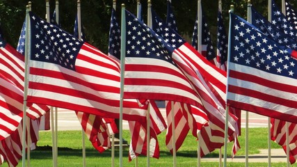 United States flag flying on summer day in a display of patriotism 