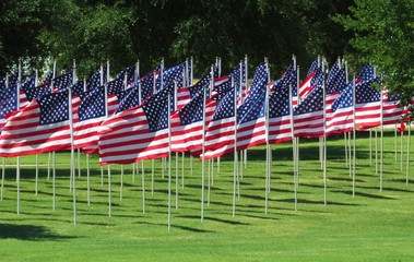 United States flag flying on a summer day in a display of patriotism