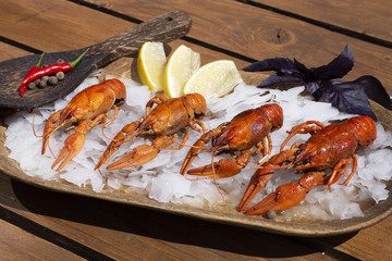 Boiled Crawfish in the ice on a wooden table. Appetizer protein. Top view flat lay background. Copy space.
