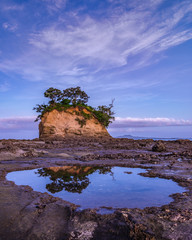 The Tor in Torbay Auckland New Zealand © Jon Paul