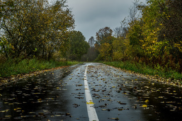 autumn after rain