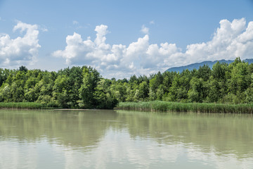 Obraz na płótnie Canvas Bäume an einem Fluss