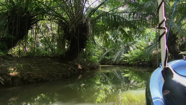 By boat through the canals of the Quebrada river.  Sailing through the tropical landscape in Bastimentos island. The tropical vegetation is reflected on the surface of the water with the stern.