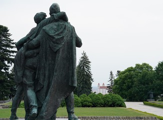 Obraz premium Russian soldiers watching Bratislava castle