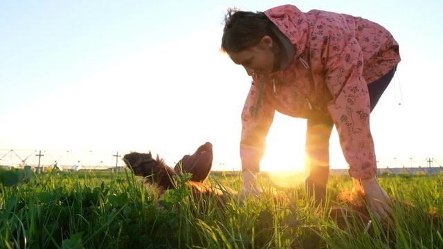 Woman scratches dog reflex at sunset, pet lies in grass