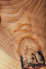 Ash wood slab texture with annual rings, background or wallpaper.