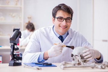 Professor studying human skeleton in lab