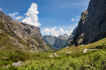 Fototapeta premium Stunning scenery near Milford Sound, South Island, New Zealand