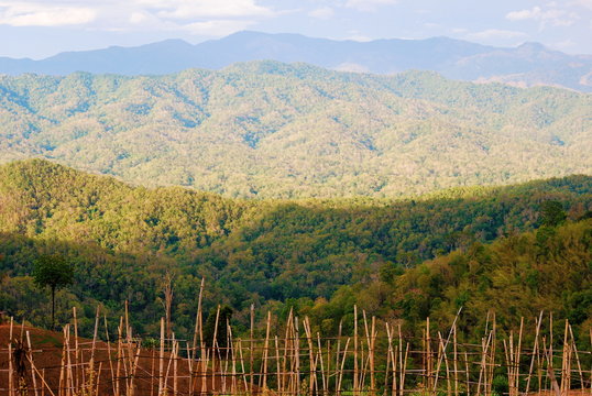 Mountain view, Landscape