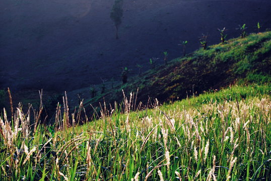 Mountain view, Landscape