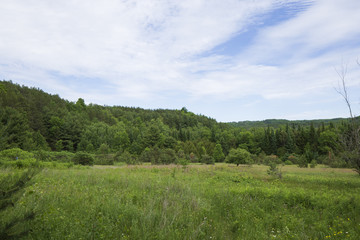 Hocley Valley Meadow