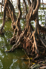 Hoan Kiem Lake, Hanoi