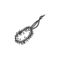 Bacterial microorganism hand drawn outline doodle icon. Bacteria, microbe, germ, virus, fungi, protozoa, microbiology vector sketch illustration for print, mobile and infographics on white background.