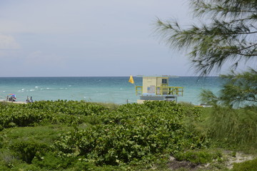 Coastguard hut on Miami beach with bushes and some pine tree with deep ocean behind