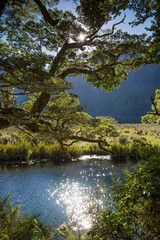 The Mirror Pools, near Milford Sound, South Island, New Zealand