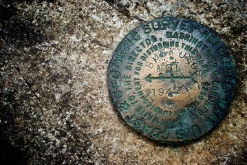 mountain survey disc